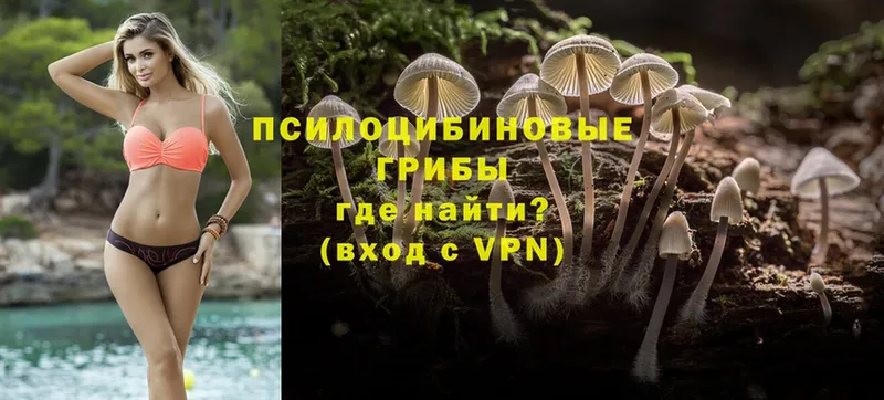 Псилоцибиновые грибы Magic Shrooms  Карасук 